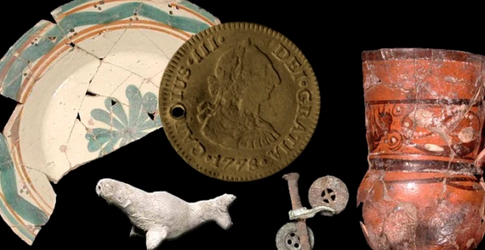 Artefacte antice descoperite de un fermier italian