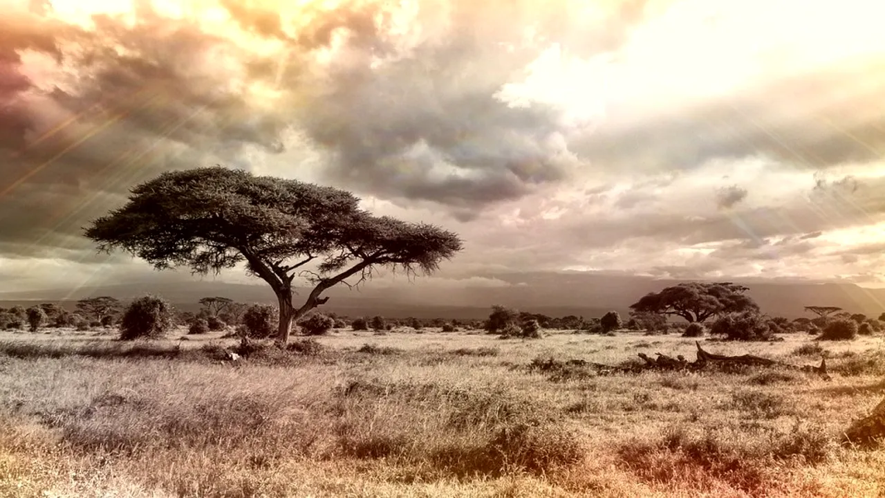 1-africa-944465-1280 