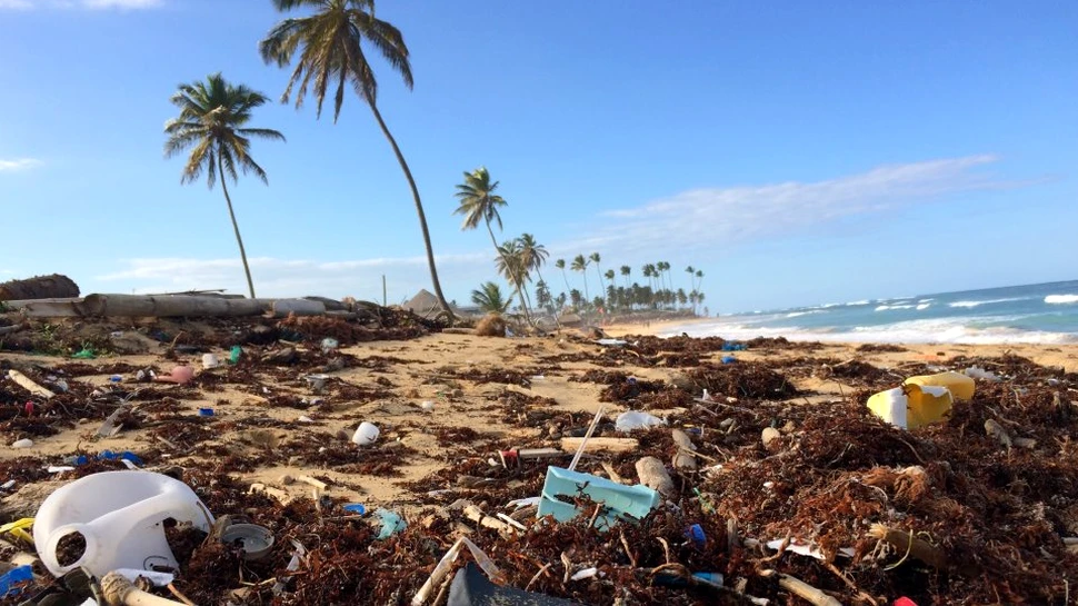 Poluarea este un flagel şi mai catastrofal decât se credea: savanţii au găsit încă două grămezi de plastic în oceane
