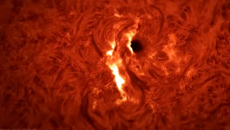 Cum sună o erupție solară? Un eveniment rar, surprins chiar în momentul declanșării!