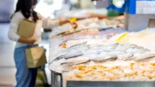 Industria invizibilă care susține alimentația globală: ce este sectorul alimentar informal?