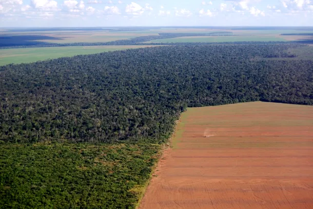 Imagine din avion cu pădurea amazoniană ciuntită şi fragmentată pentru a face loc terenurilor agricole.