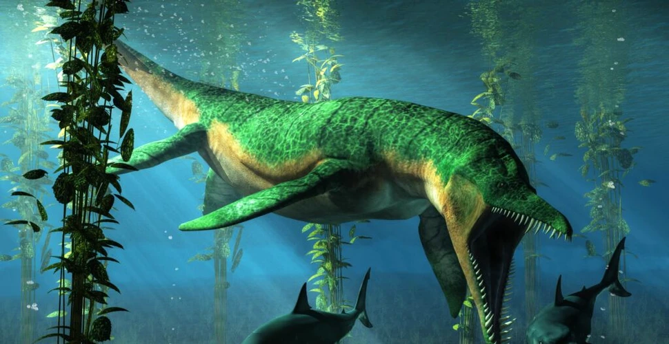 O reptilă marină preistorică ar fi fost de două ori mai mare decât o balenă ucigașă, sugerează fosilele