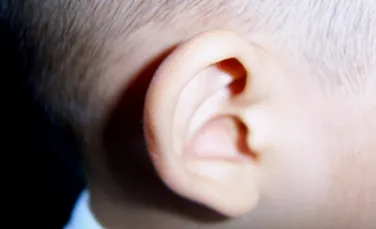 Medicina viitorului: feţele oamenilor vor fi refăcute cu nasuri şi urechi crescute în laborator