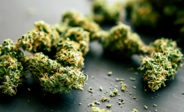 Consumul regulat de cannabis prezintă riscuri pentru persoanele peste 65 de ani, avertizează experții