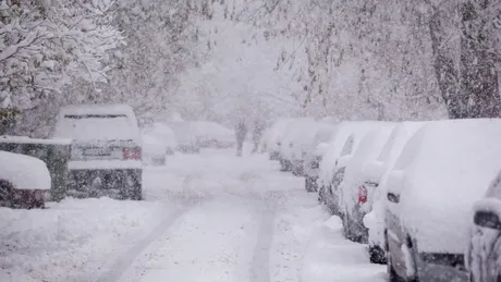 Test de cultură generală. De ce zăpada este albă?