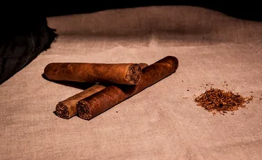 Mayașii fumau gălbenele pentru a face tutunul mai plăcut, susține un studiu