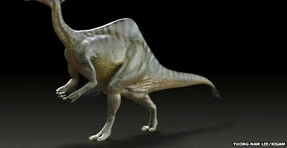 „Este unul dintre cei mai bizari dinozauri, dincolo de orice imaginaţie”: descoperirea care rezolvă un vechi mister ştiinţific