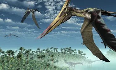 Un nou studiu poate rescrie ce cunoaştem despre pterozauri, un grup extinct de specii de zburătoare care se găseau şi pe teritoriul României