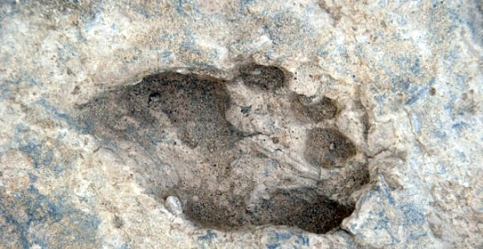 Cele mai vechi urme de picior uman au 1.5 milioane de ani vechime