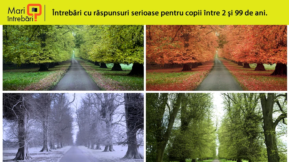 De ce avem mai multe anotimpuri?