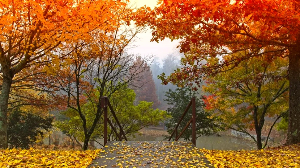 Cum va fi vremea în următoarele patru săptămâni: se încălzește și va ploua puțin