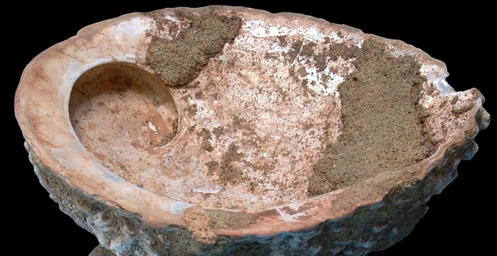 „Atelier de pictură” vechi de 100.000 de ani, descoperit în Africa de Sud
