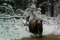 „Un urs însetat”, surprins pe camerele de monitorizare a faunei din Parcul Național Cheile Bicazului – Hășmaș