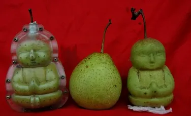 Fructe senzationale-Perele in forma de Buddha