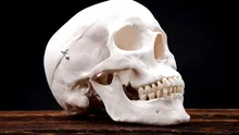 Academicienii de la Oxford au băut zeci de ani dintr-un potir făcut dintr-un craniu uman