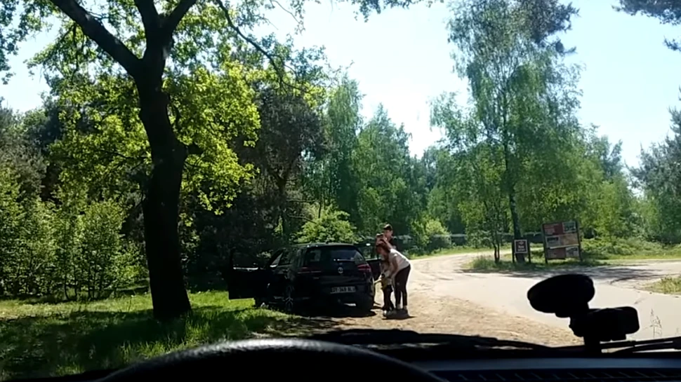 VIDEO Au ieşit din maşină într-un parc safari pentru a vedea de aproape animalele, însă la scurt timp unul dintre gheparzi a început să alerge spre ei