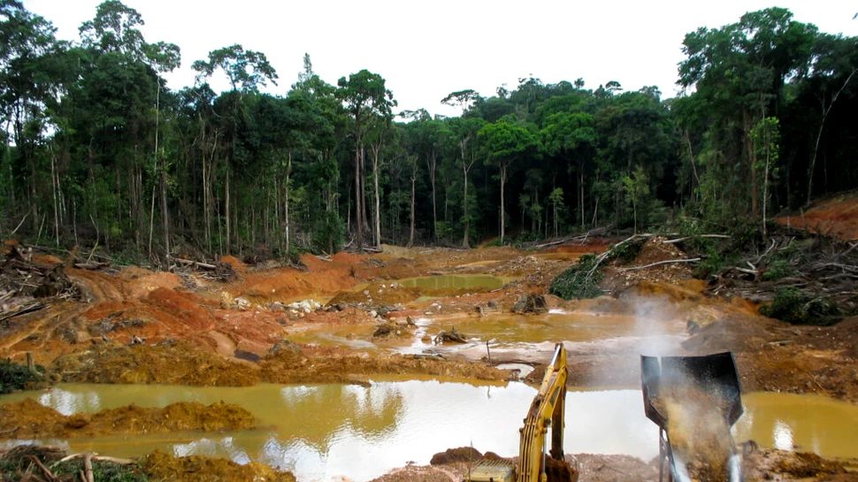 Copii folosiți ca „scuturi umane” în pădurea amazoniană din Peru