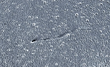 Erupțiile de pe cometa Leonard au fost văzute de un satelit NASA