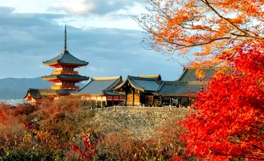 Profeția care a speriat turiștii din Japonia