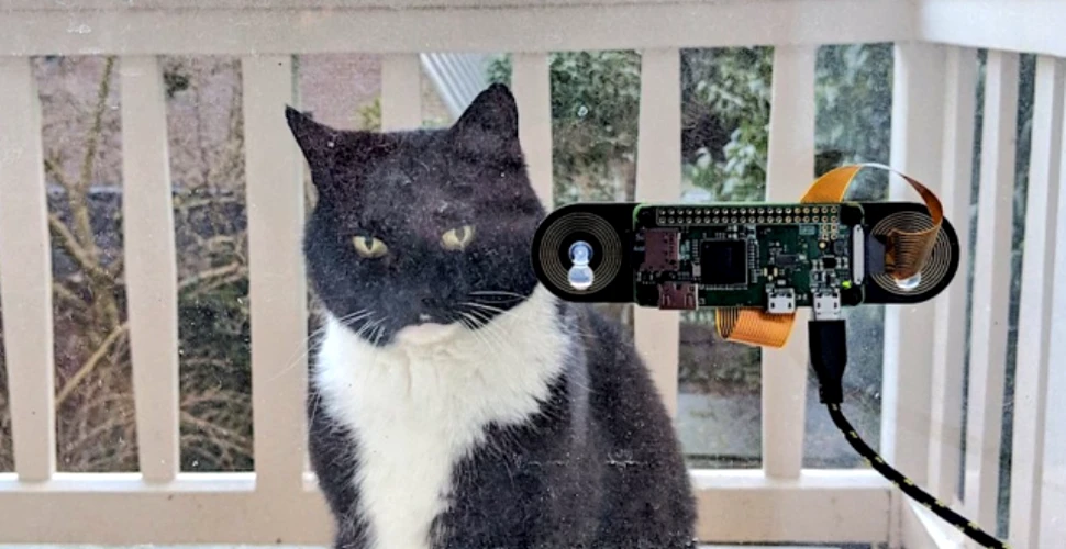 Ce nu face omul pentru stăpânul său, pisica: un inginer a construit un sistem de recunoaştere facială prin care uşa se deschide la apropierea felinei