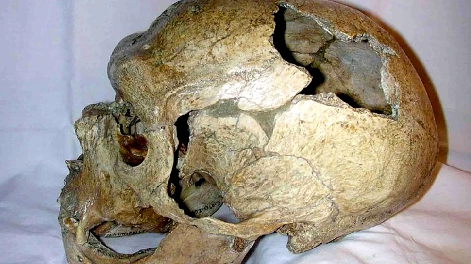 Cum am reuşit să-i „înfrângem” pe neanderthalieni?