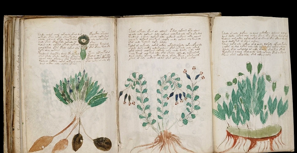 Cea mai misterioasă carte din lume, Manuscrisul Voynich, ar putea fi rezultatul unei farse elaborate