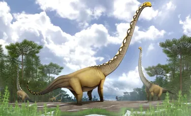 O nouă specie de dinozaur cu gâtul extrem de lung, descoperită datorită unui singur os