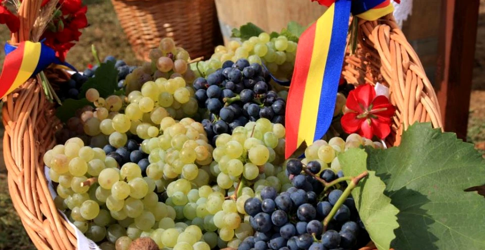Cele mai scumpe vinuri din România, reapar pe piaţă. Cu cât se vinde o sticlă din celebrul vin de la Lechinţa