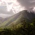 Jamaican Blue Mountain: de ce una dintre cele mai exclusiviste cafele din lume este cultivată printre nori