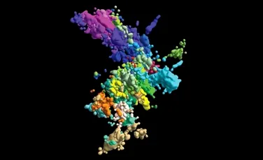 Cromozomii nu arată cum ne-am fi imaginat: Cercetătorii au obținut imagini 3D cu structurile celulare