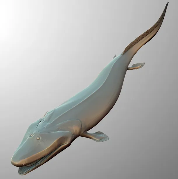Reconstituirea lui Tiktaalik, peştele tetrapodomorf ale cărui înotătoare laterale au câte un peduncul musculos, amintind de un picior.
