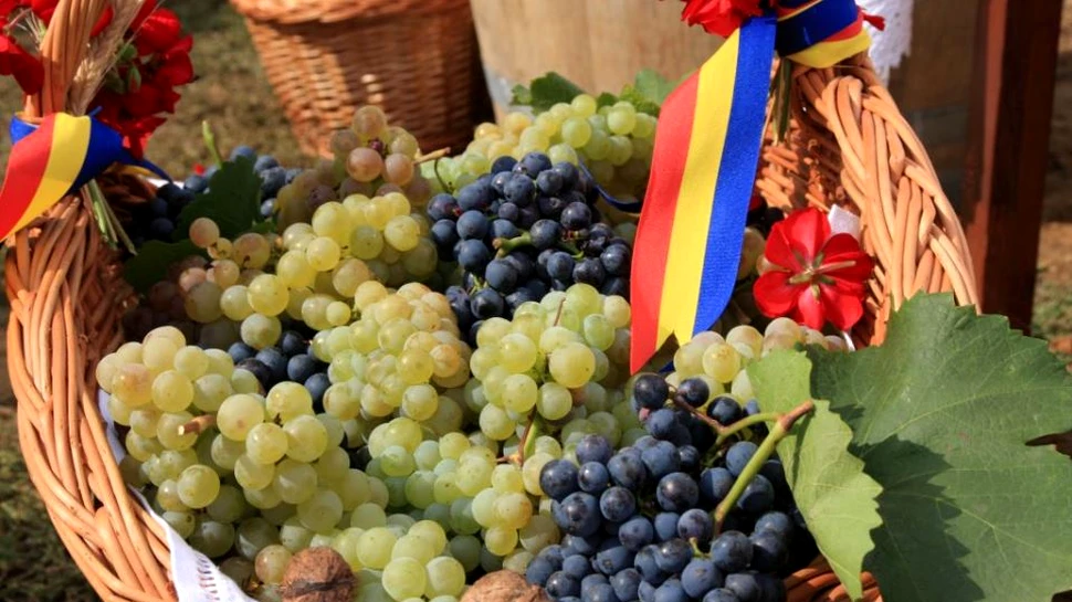 Cele mai scumpe vinuri din România, reapar pe piaţă. Cu cât se vinde o sticlă din celebrul vin de la Lechinţa