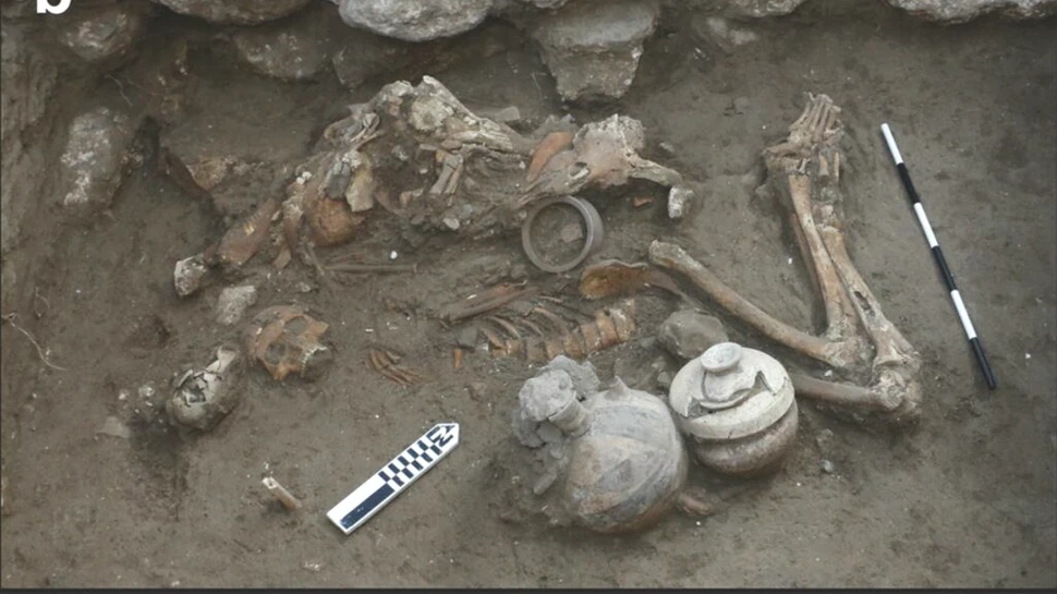 Arheologii au găsit dovezi de la una dintre cele mai vechi operații pe creier