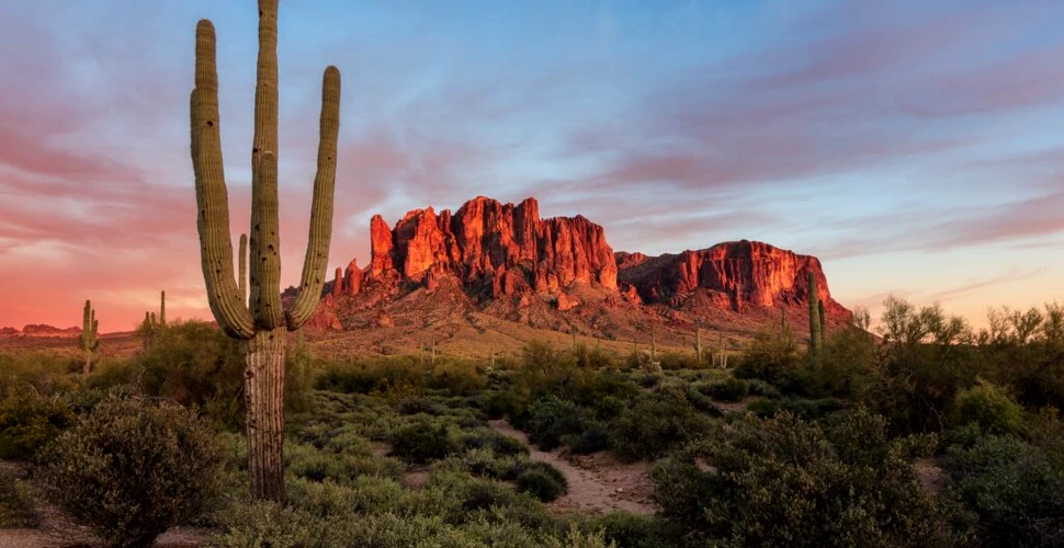 Noi specii din Triasicul târziu, scoase la lumină în statul american Arizona