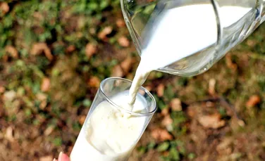 Nu bei lapte? Un nutriționist explică cum să-ți iei doza zilnică de calciu și alți nutrienți