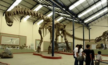 Dinozaurii uriasi inghiteau mancarea nemestecata