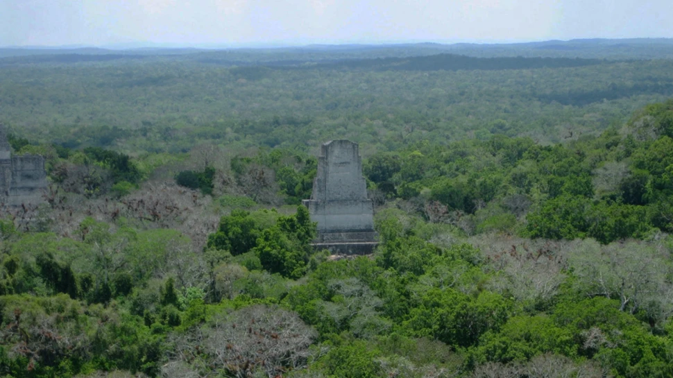 Un cartier mayaș conceput să semene cu Teotihuacan, descoperit la Tikal