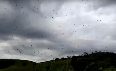 Fenomen straniu obsevat pe cerul din Brazilia. Imagini cu punctele negre stranii