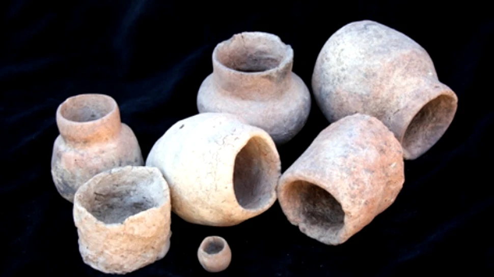 Procesarea laptelui a inceput acum 8000 de ani