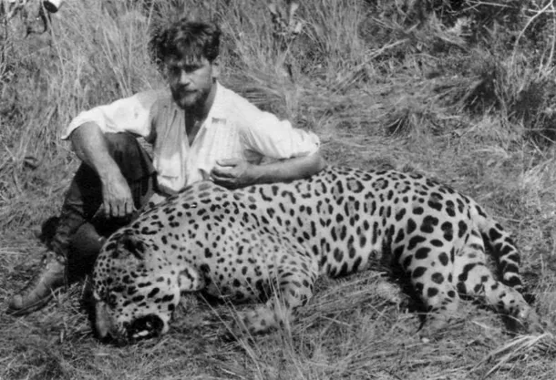 Siemel alături de un alt mascul uriaş de jaguar