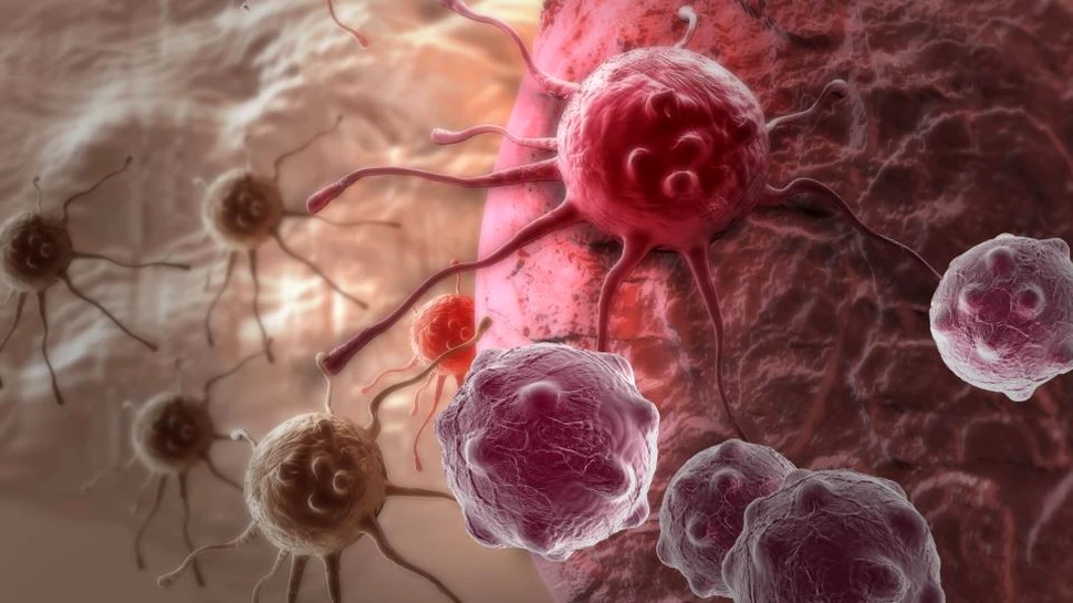 Ceasul intern al organismului poate influenţa apariţia cancerului mamar