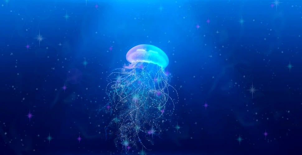 Meduzele-cyborg ar putea fi folosite pentru explorarea oceanelor