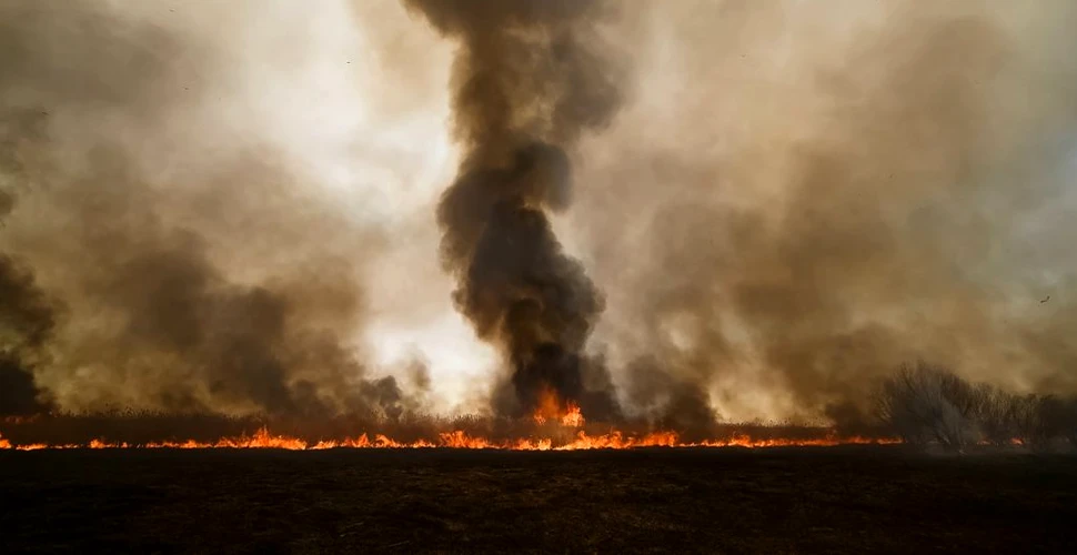 Incendiile siberiene, record istoric negativ. Aproape 5.000 de kilometri afectați de fum