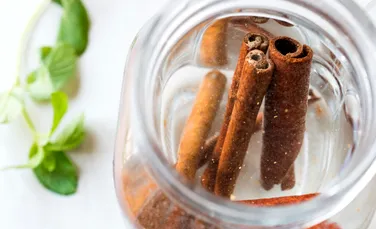 Test de cultură generală. De unde vine scorțișoara?