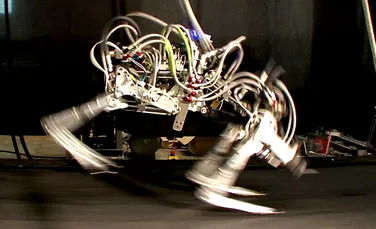 Nou record: un robot aleargă mai repede decât cel mai rapid om din lume, Usain Bolt (VIDEO)