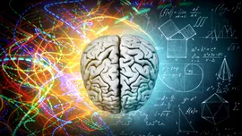 O descoperire genetică ar putea explica unicitatea creierului uman