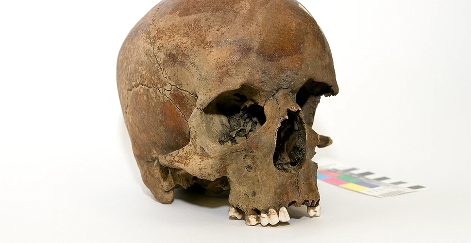 Descoperirea care dă bătăi de cap istoricilor: un craniu misterios ar putea rescrie istoria Australiei!