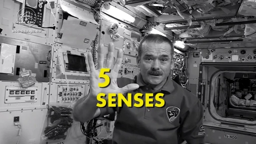 Cum te-ai simţi pe ISS: ce se întâmplă cu simţurile noastre în spaţiu?