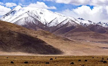 Cutezanţa oamenilor din Epoca de Piatră a dus la cucerirea Platoului Tibetan, aflat la 4.600 de metri altitudine, mult mai devreme decât s-a crezut anterior